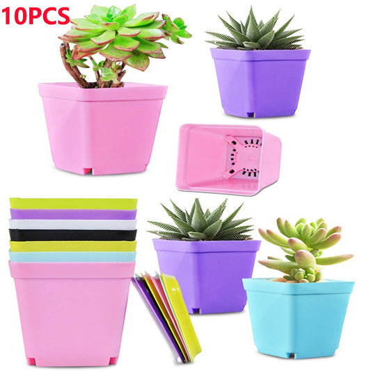 10PCS/bag Gardening Mini Small Square Pot Flower Pot Succulent Pot Little Black Square Plastic Pot Seedling Tray Containe